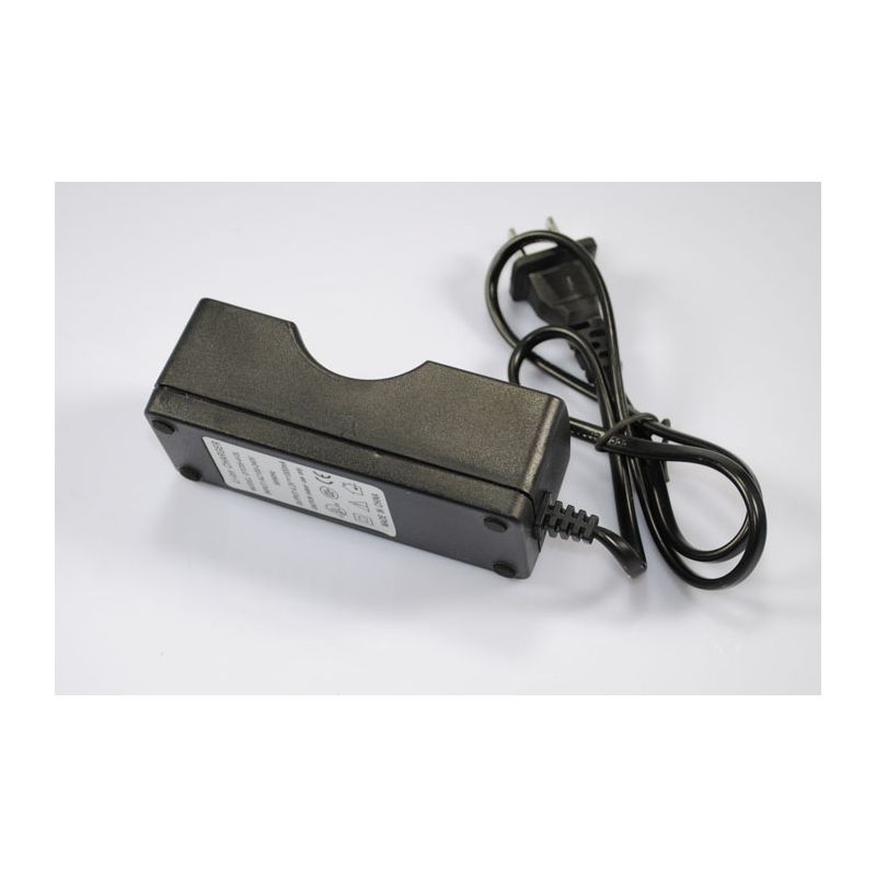 Chargeur Simple 26650 Li-ion UltraFire Rechargeable Design Compact Protection Surcharge Sécurité Intégrée