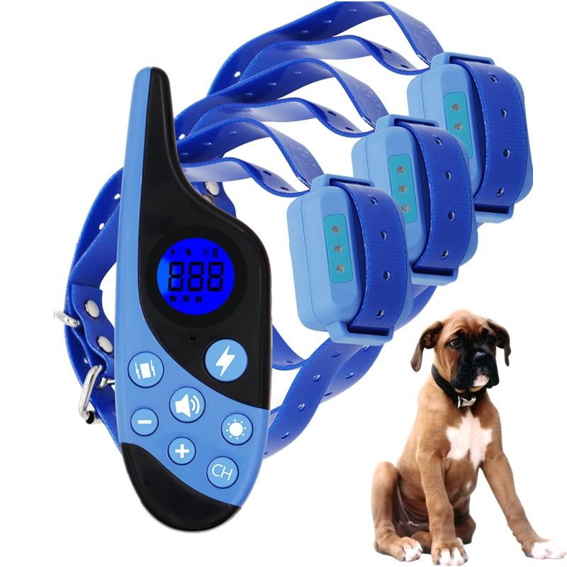 Collier d'entraînement de chien électrique télécommande 500m imperméable rechargeable formation en plein air