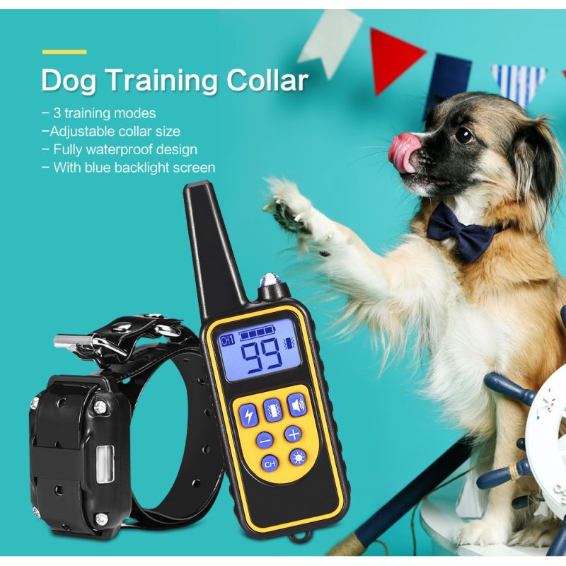 Collier d'entraînement pour chien 800m étanche avec écran LCD rechargeable niveaux de vibration réglables