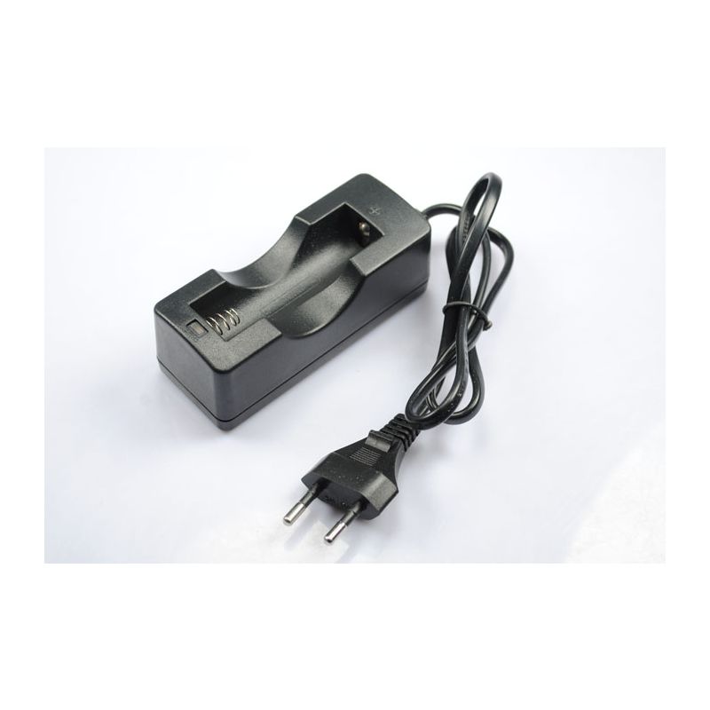 Chargeur 18650 Batterie Rechargeable avec Compatibilité Universelle et Sortie 4.2V DC Accessoire Indispensable