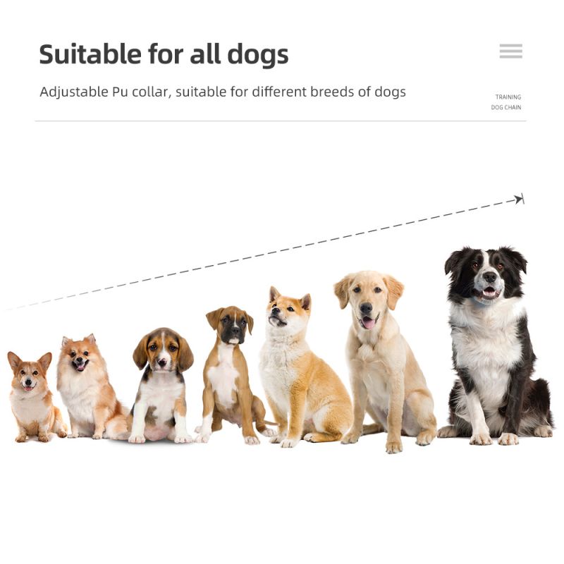 Collier de dressage pour chien 800m dispositif étanche IP7 avec télécommande rechargeable et niveaux ajustables