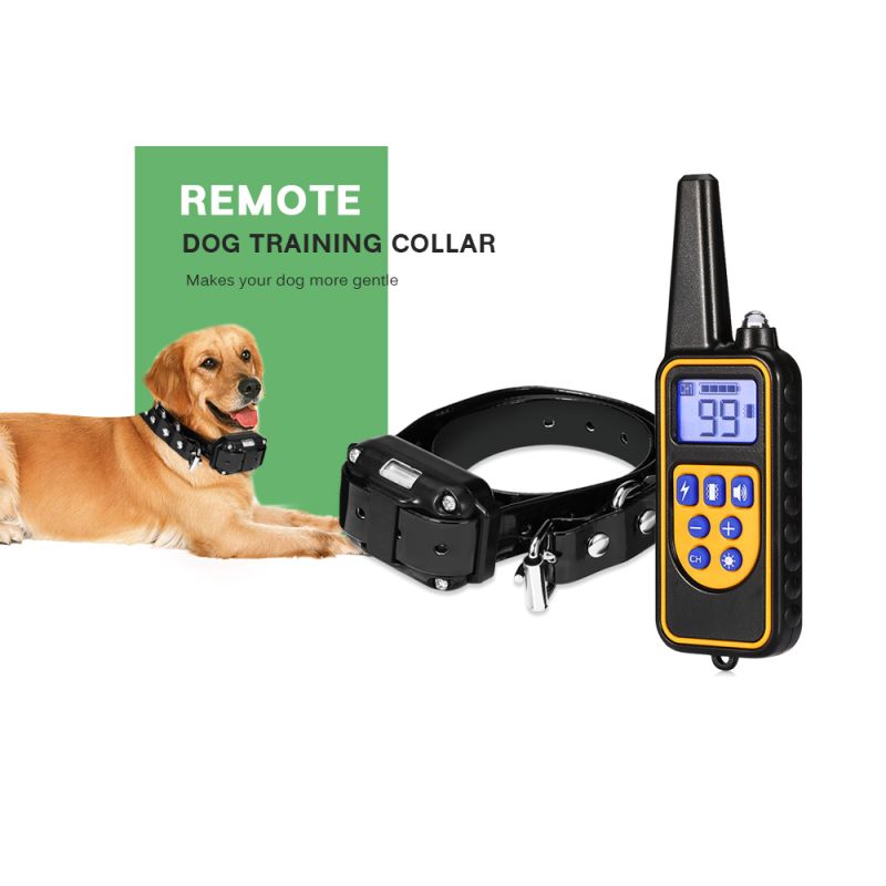 Collier d'entraînement pour chien 800m étanche avec écran LCD rechargeable niveaux de vibration réglables