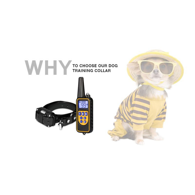 Collier d'entraînement pour chien 800m étanche avec écran LCD rechargeable niveaux de vibration réglables
