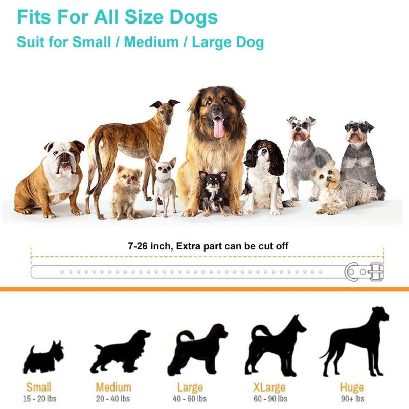 Collier de dressage télécommande étanche rechargeable pour chiens petits moyens grands 3 modes efficaces