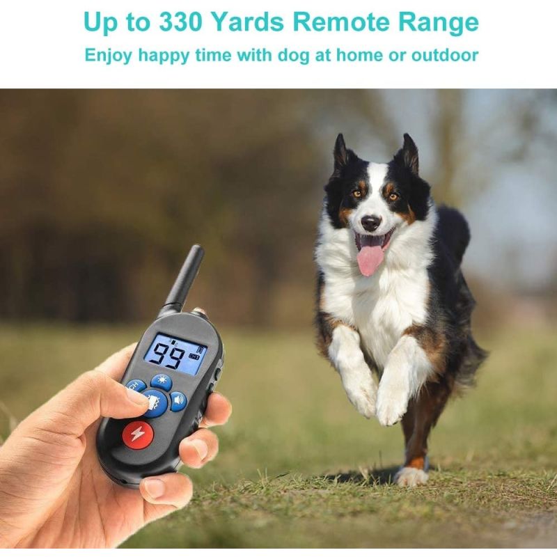 Collier de dressage télécommande étanche rechargeable pour chiens petits moyens grands 3 modes efficaces