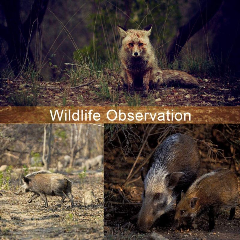 Lampe UltraFire 940nm LED IR infrarouge à faisceau réglable pour chasse furtive et observation de la faune