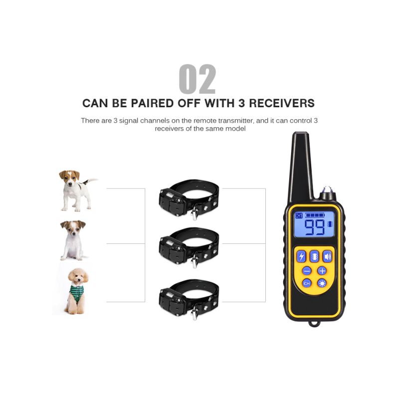 Collier d'entraînement pour chien 800m étanche avec écran LCD rechargeable niveaux de vibration réglables