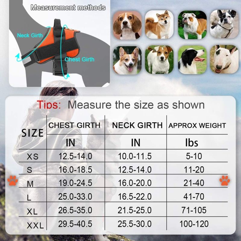Harnais respirant pour chien avec poignée harnais anti-traction sécurité nocturne pour une marche confortable