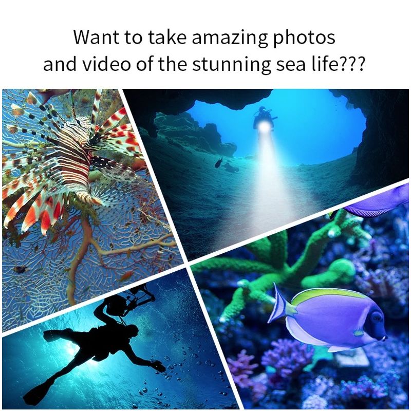 Lampe LED plongée B11 lumière sous-marine rouge bleu blanche étanche photographie sous-marine exploration marine