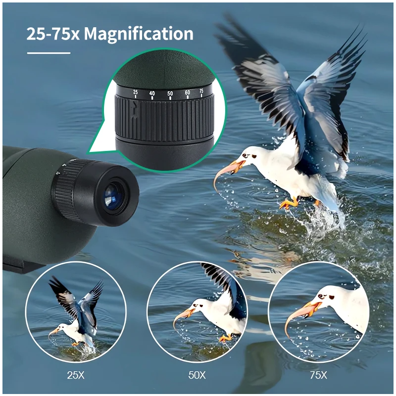 Longue-vue Télescope Monoculaire 25-75x60 Zoom ED Bak4 HD pour Observation Oiseaux Camping Plein air Nature