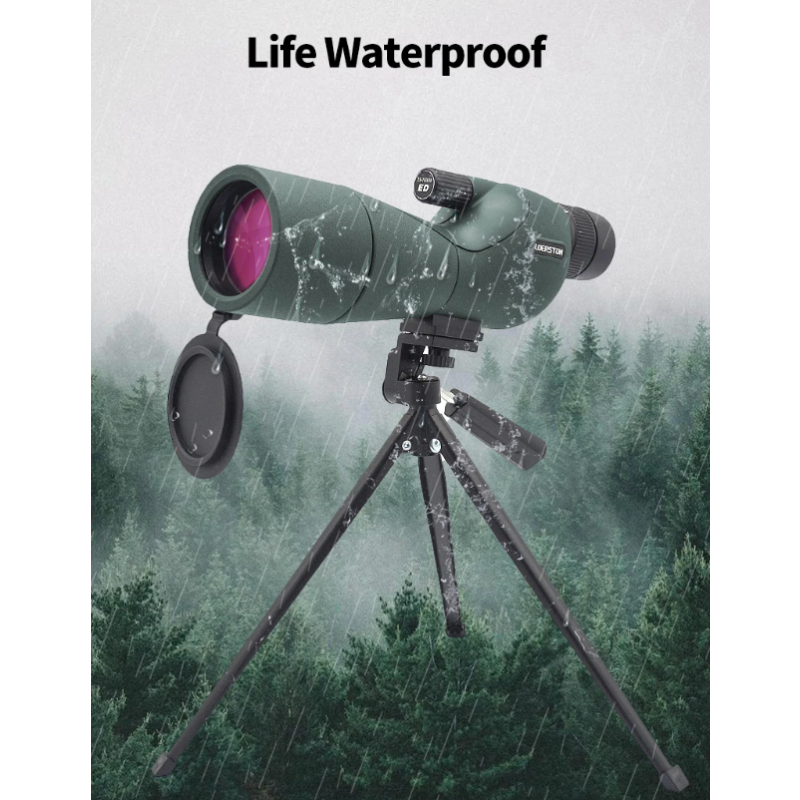 Longue-vue Télescope Monoculaire 25-75x60 Zoom ED Bak4 HD pour Observation Oiseaux Camping Plein air Nature
