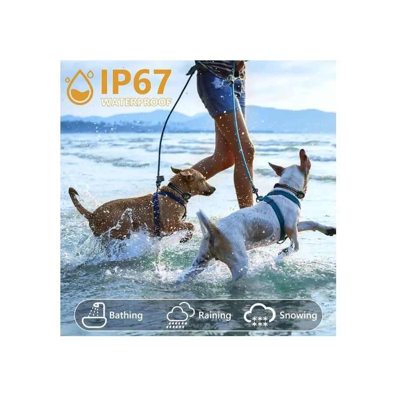 Collier Électronique pour Chien avec Reconnaissance Aboiement Intelligent et Algorithme Avancé Anti-aboiement