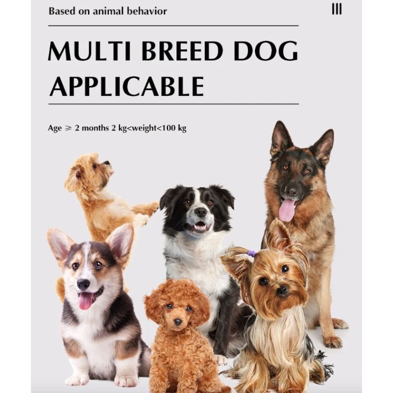 Clôture Sans Fil Chien 2-en-1 Système de Clôture Électronique et Collier de Dressage pour Tous Tailles Chiens