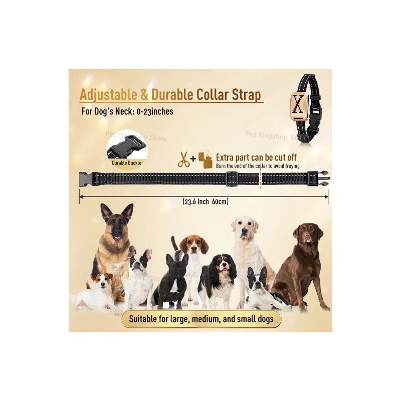 Clôture Sans Fil pour Animaux et Collier de Dressage à Choc Électrique Sécurité et Liberté pour Propriétaires