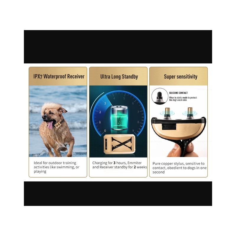 Clôture Sans Fil pour Animaux et Collier de Dressage à Choc Électrique Sécurité et Liberté pour Propriétaires