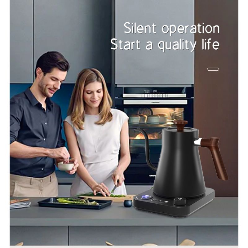 Bouilloire Électrique à Col de Cygne 1200W Chauffage Rapide Contrôle de Température pour Délices Culinaires