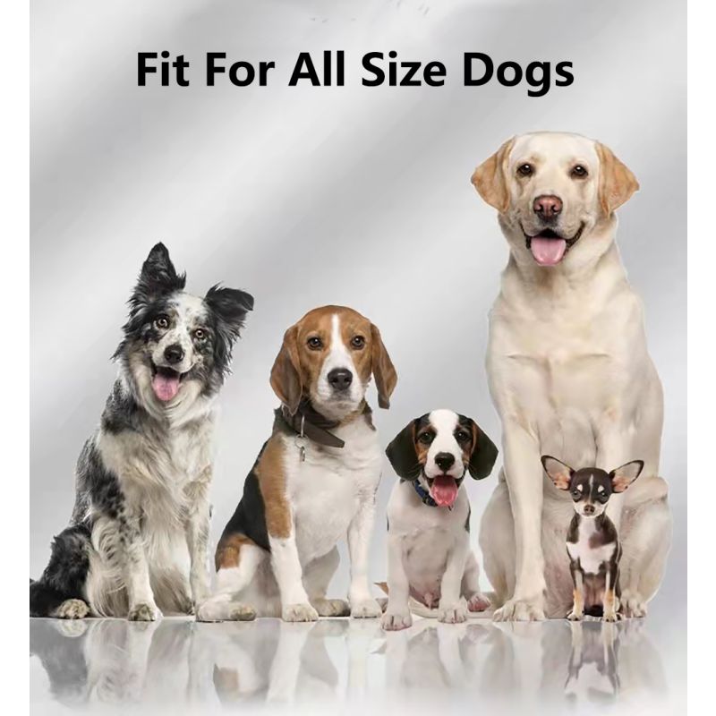 Clôture GPS sans fil pour chien Impact Collier Étanche Portée 1000m Sécurité Animaux Installation Facile