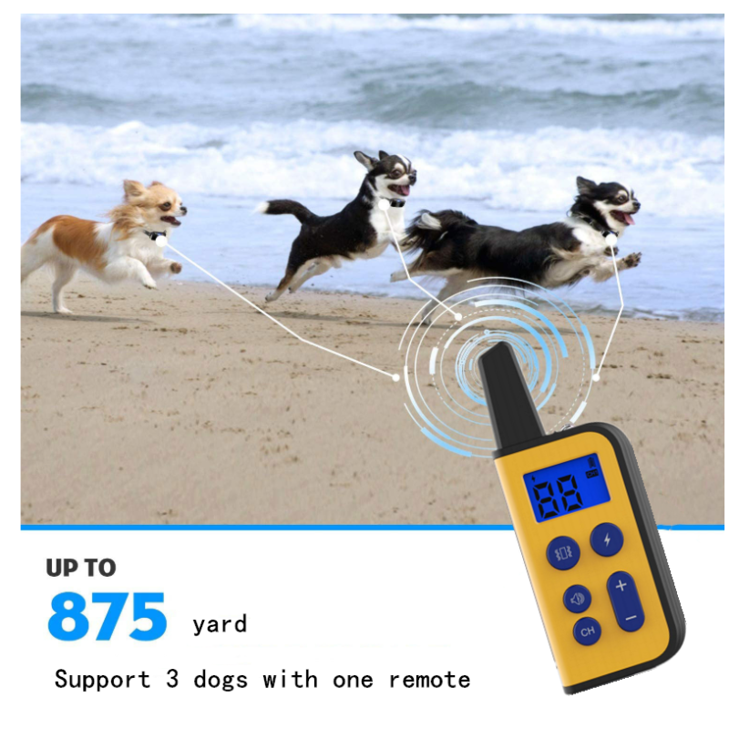 Collier de dressage chien électrique 2020 portée 1000m imperméable écran LCD niveaux ajustables rechargeable