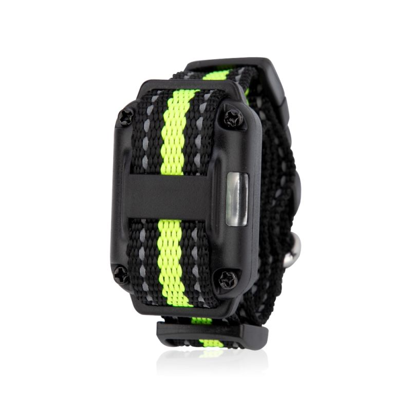 Collier de dressage à écran LCD étanche niveaux réglables idéal pour toutes races dressage canin essentiel
