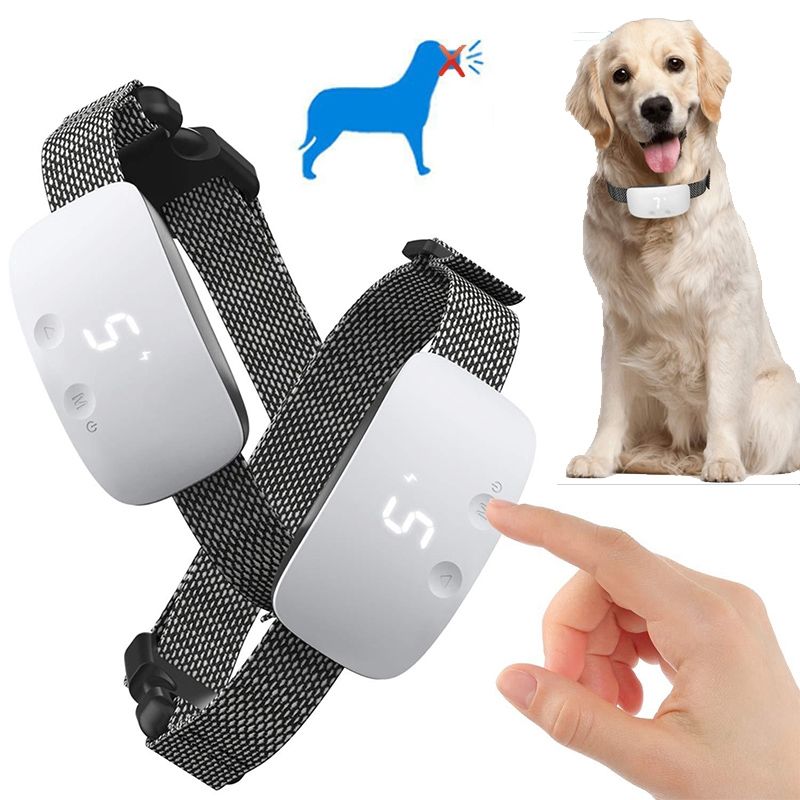 Collier de dressage pour chien étanche avec niveaux de choc ajustables et gestion efficace des aboiements