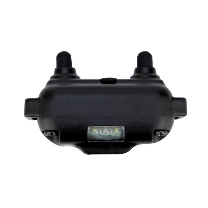 Collier d'entraînement chien électrique LCD télécommande animaux imperméable rechargeable niveaux ajustables