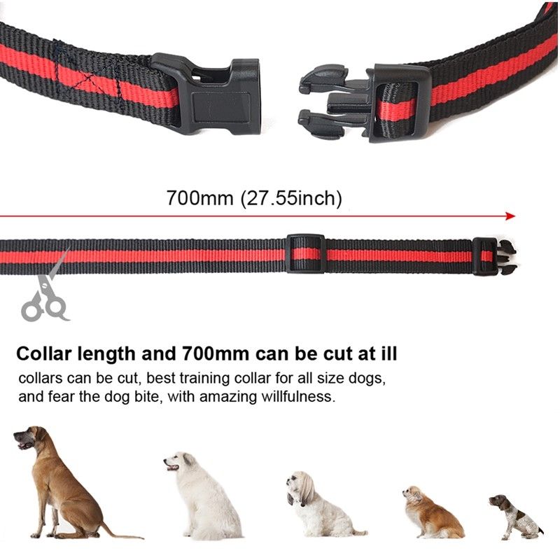 Collier électronique pour chien rechargeable étanche à niveaux de choc réglables aide à l'entraînement canin