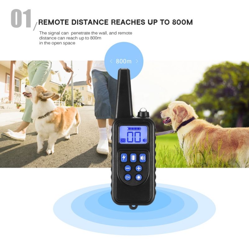 Collier de dressage chien 800m écran LCD modes choc vibration son collier rechargeable imperméable