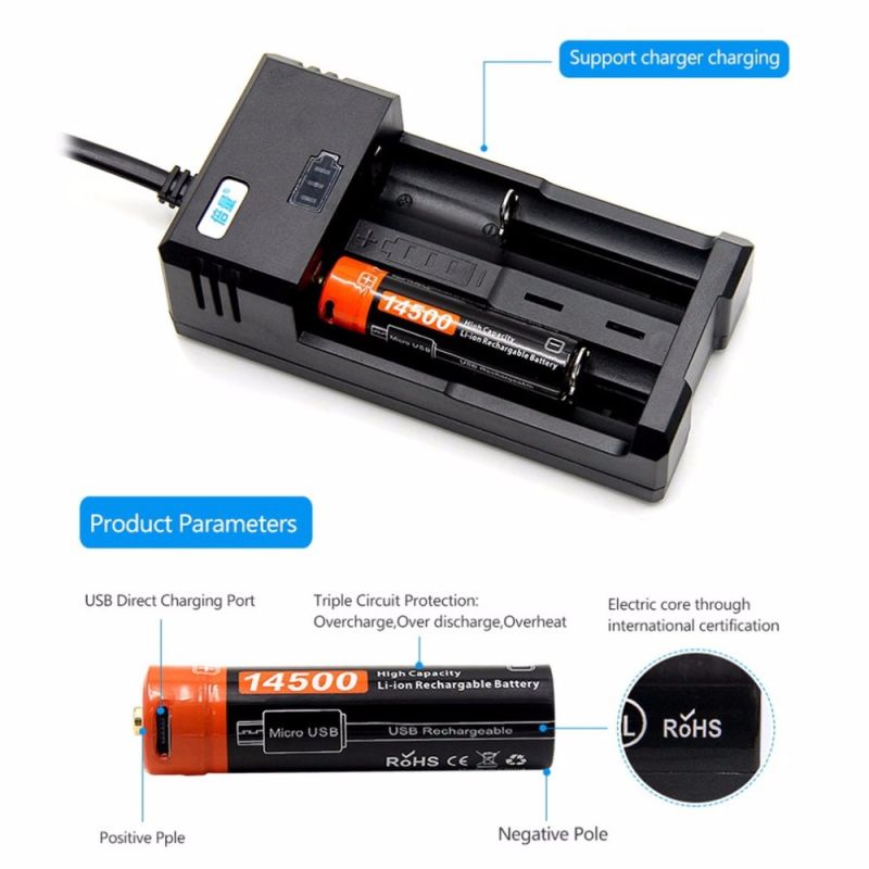 Batterie rechargeable 14500 Li-ion 3.7V 750mAh DoublePow avec port Micro USB et indicateur LED écologique