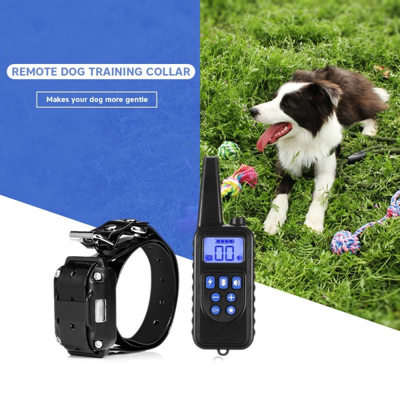 Collier de dressage chien 800m écran LCD modes choc vibration son collier rechargeable imperméable