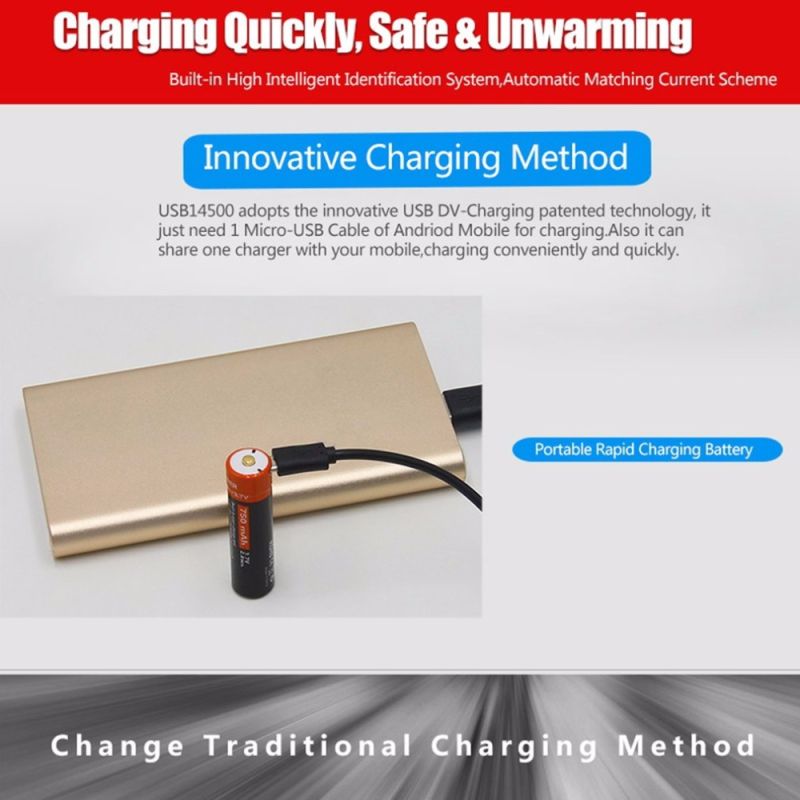 Batterie rechargeable 14500 Li-ion 3.7V 750mAh DoublePow avec port Micro USB et indicateur LED écologique