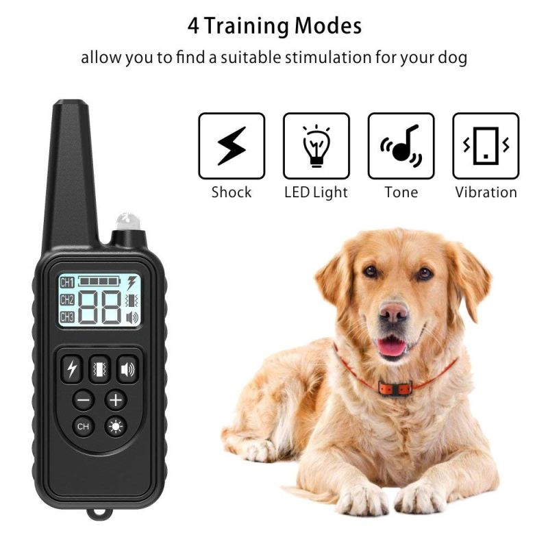 Collier d'entraînement chien 800m télécommande imperméable rechargeable trois modes écran LCD entraînement canin