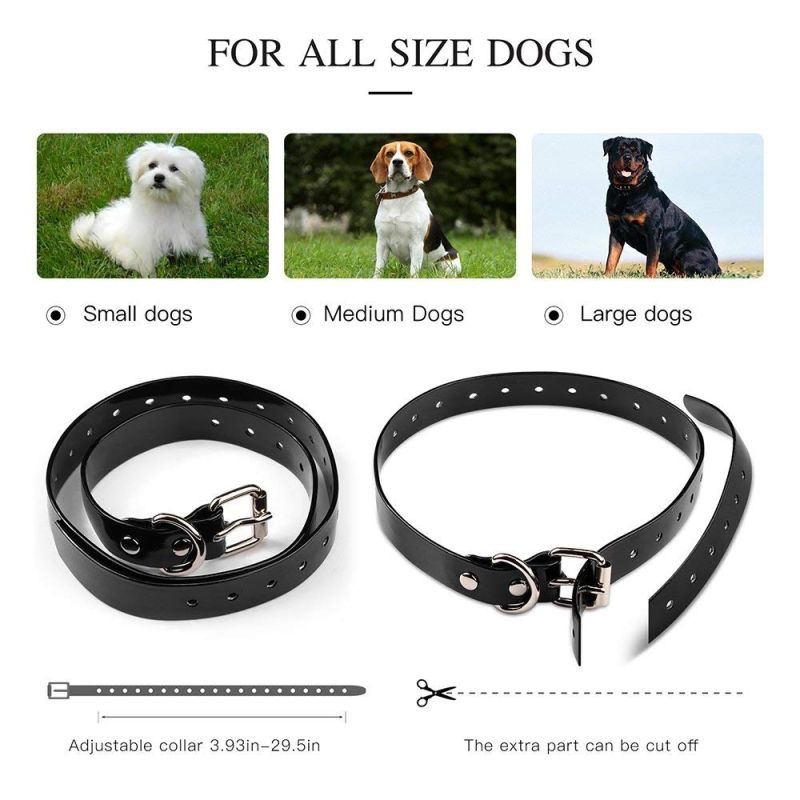 Collier d'entraînement chien 800m télécommande imperméable rechargeable trois modes écran LCD entraînement canin