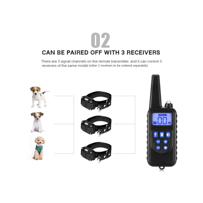 Collier de dressage chien 800m écran LCD modes choc vibration son collier rechargeable imperméable