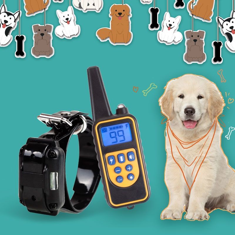 Collier d'entraînement pour chiens 800 m Collier imperméable et rechargeable avec écran LCD et vibrations ajustables
