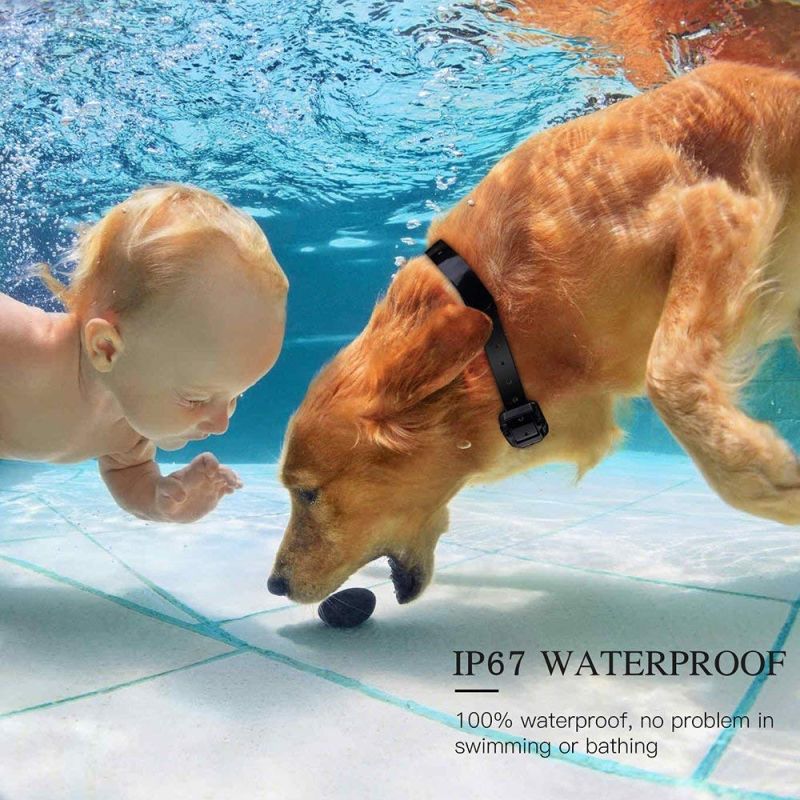 Collier d'entraînement chien 800m télécommande imperméable rechargeable trois modes écran LCD entraînement canin