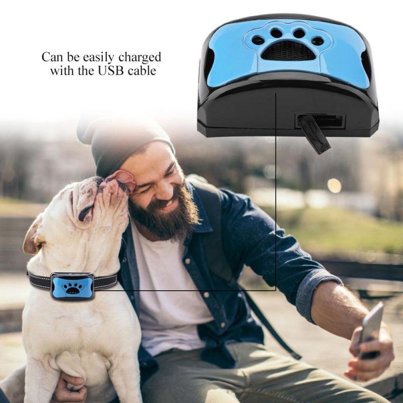 Collier Anti-Aboiement Ultrasonique USB Rechargeable Sensibilité Ajustable Solution Efficace Pour Chiens