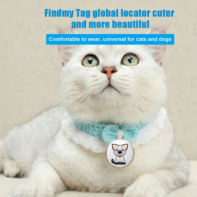 Collier GPS étanche IP65 pour animaux Suivi en temps réel des chats et chiens Collier de localisation intelligent