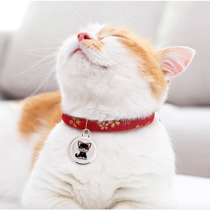 Traceur de chien Collier Airtag pour chien Localisation en temps réel Suivi Bluetooth Sécurité pour chiens