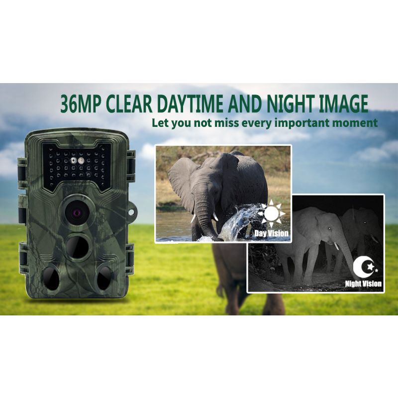 Caméra de chasse PR1000 avec capture photo 36MP vision nocturne infrarouge pour observation animale extérieure