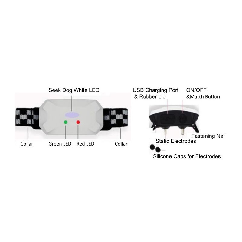 Collier de dressage rechargeable pour chien avec télécommande modes bip vibration choc imperméable 2021