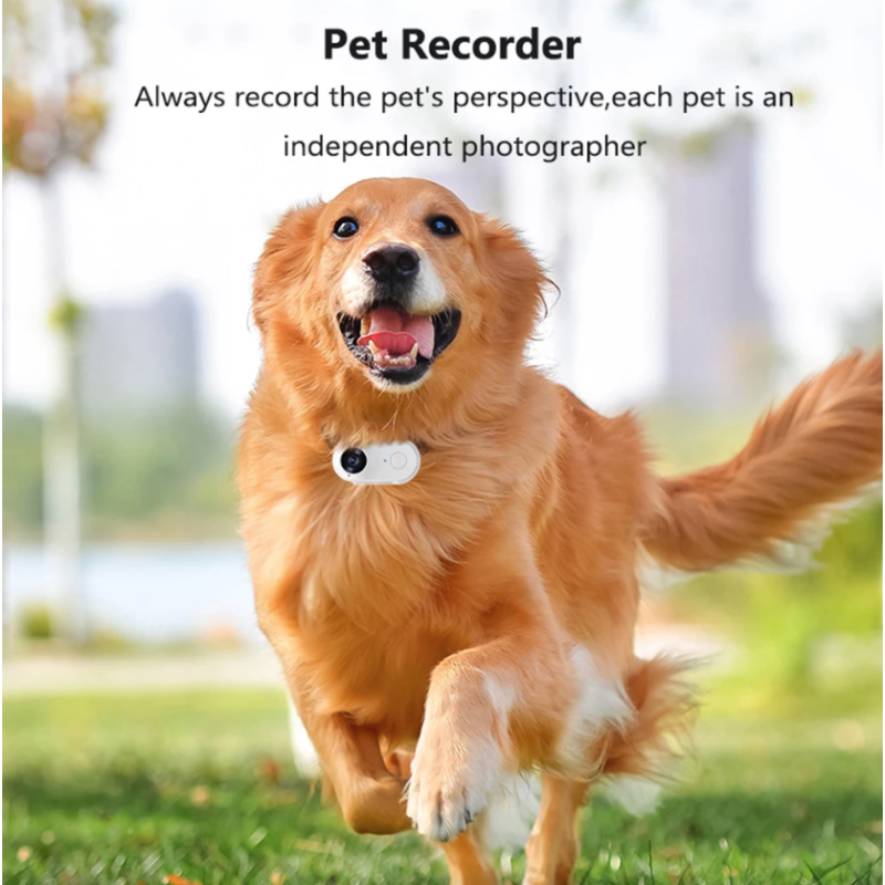 Caméra WiFi Pouce HD 1080P Sport Portable, Enregistreur Vidéo Moto Animaux 120° Grand-Angle