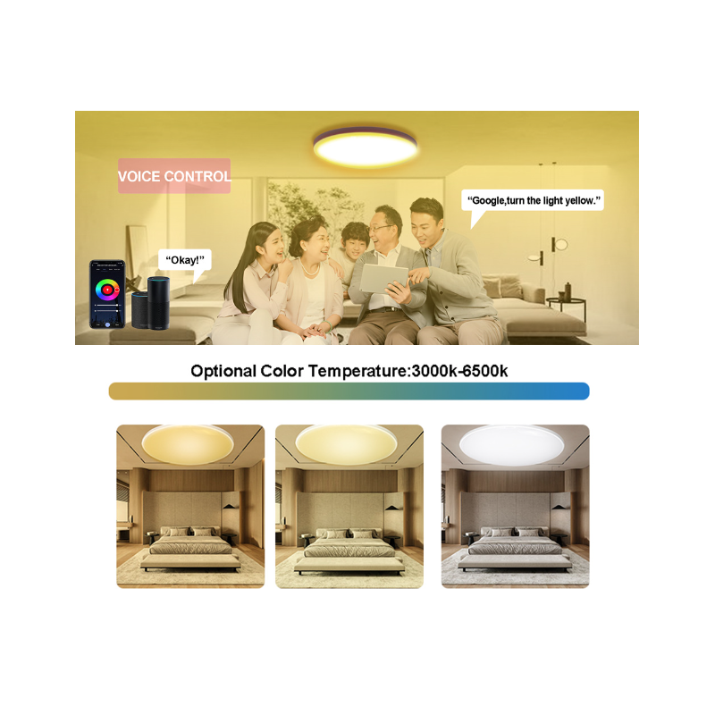 Plafonnier intelligent 24W Tuya Zigbee lampe de plafond LED salon contrôle vocal Alexa maison intelligente