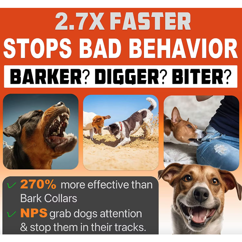 Répulsif pour chien appareil de dressage à ultrasons dispositif anti-aboiements rechargeable formation canine