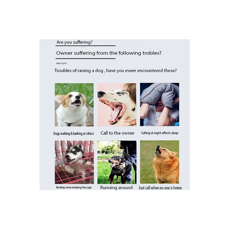 Clôture Électronique Sans Fil Animaux avec Dispositif Intelligent Entraînement Chiens et Collier Ergonomique