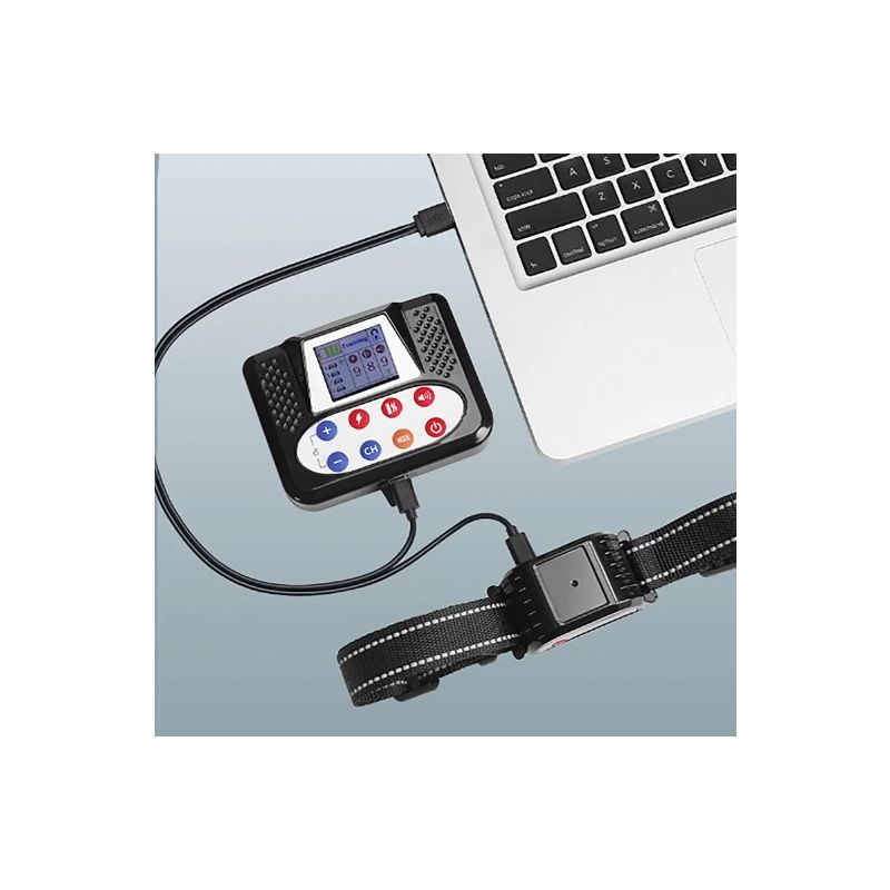 Clôture Électronique Sans Fil Animaux avec Dispositif Intelligent Entraînement Chiens et Collier Ergonomique