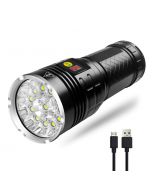 NITEBEAM 12x LED  395NM UV rechargeable lampe de poche