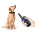 Collier de dressage pour chien 800m dispositif étanche IP7 avec télécommande rechargeable et niveaux ajustables