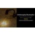 NITECORE TINI3 Lampe Porte-Clés 600 Lumens Ultra-Compacte Rechargeable pour Éclairage Quotidien et Exploration