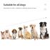 Collier de dressage pour chien 800m dispositif étanche IP7 avec télécommande rechargeable et niveaux ajustables