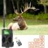 Caméra de chasse HC-300M 12MP vision nocturne infrarouge avec vidéo 1080P et observation de la faune durable
